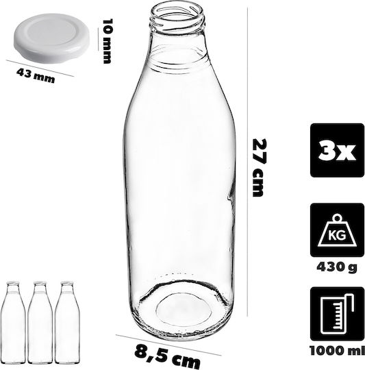 Kadax Glas Wasserflasche mit Schraubdeckel Transparent 1000ml 3 Stücke