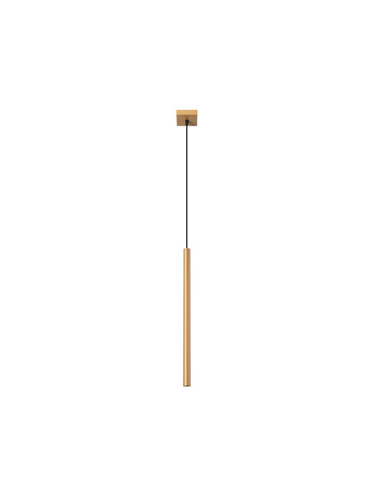 Sollux Pastelo Pendant Light Gold with Socket G9 8x8x120cm
