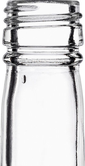Glas 200ml Likörflasche Silberner Deckel 10 Stück