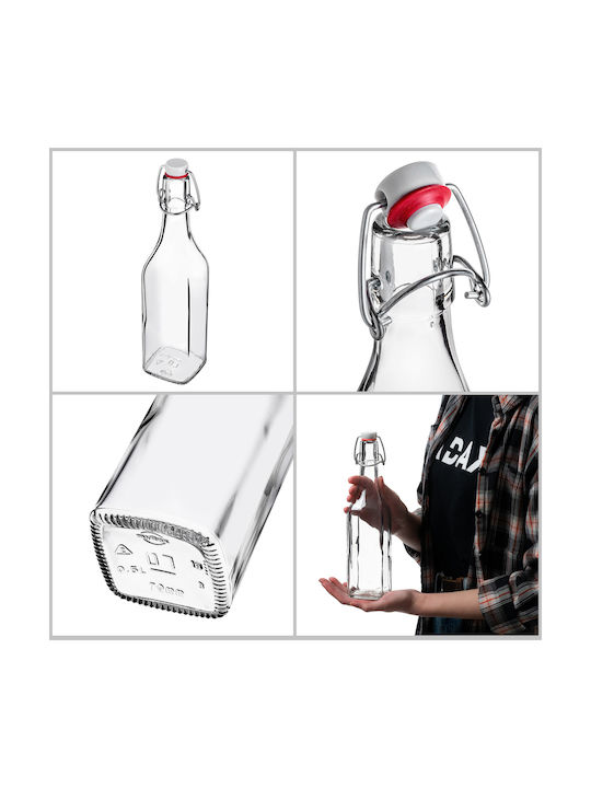 Kadax Glas Wasserflasche mit Clip Transparent 500ml 5 Stücke