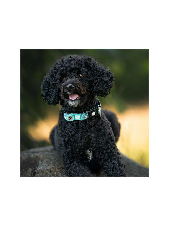Max Molly Smart Id Dog Collar – Storm Small 1.5cm X 28-45cm