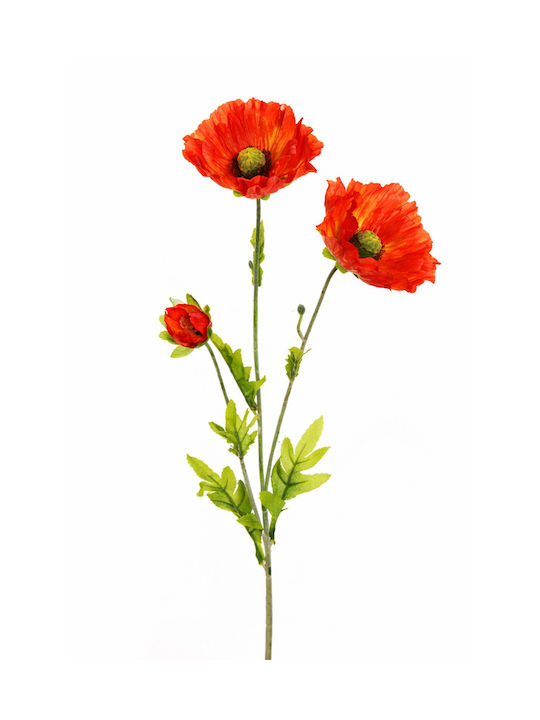 Poppy Flower Orange Stem 0x0x71cm Monochrome Evergreens