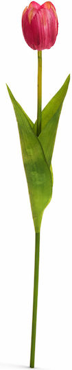 Τουλιπα Φουξια 54cm 0x0x54cm Μονόχρωμο Evergreens