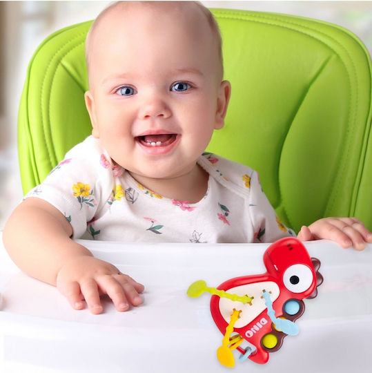 MalPlay Baby Toy for 18+ Months