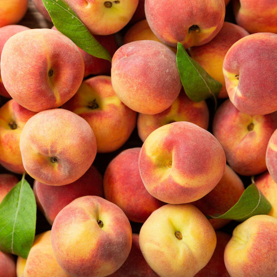 Bath Bomb Peach
