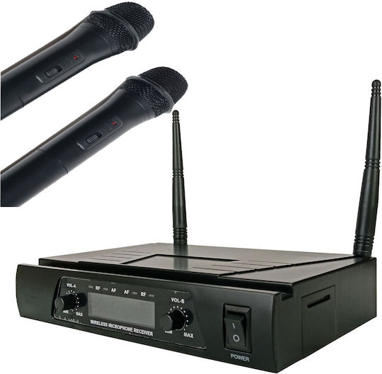 Audio Club WM20D Set Wireless Microphone Handmade for Vocals