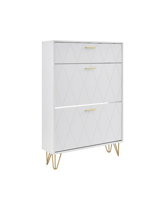 Suport pentru pantofi L80xW23.9xH120cm