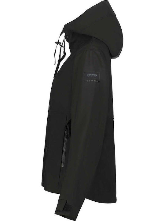 Icepeak