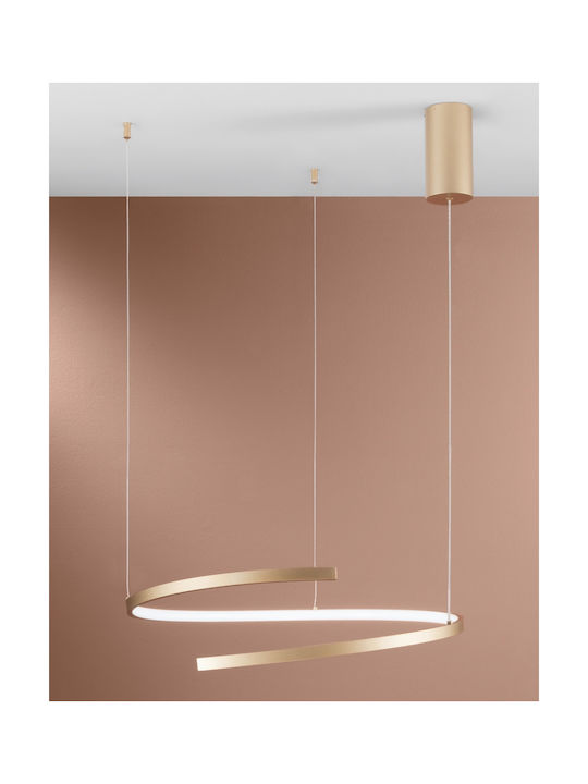 Fan Europe Led-Moma-S60 Hängelampe Gold 60x12x150cm.
