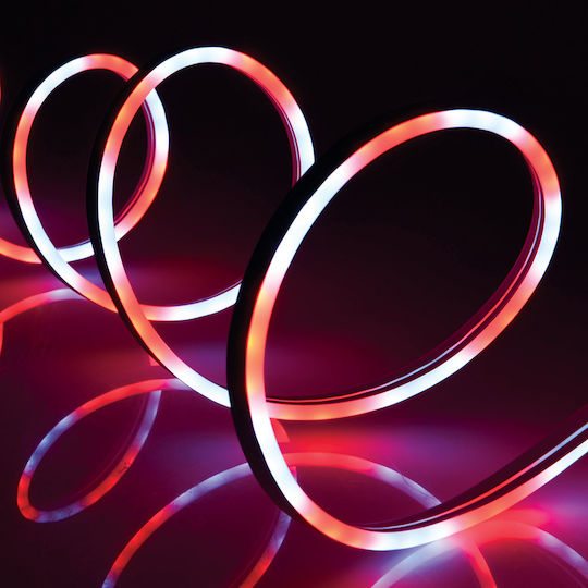 The Source LED-Streifen RGBIC Licht Neon Flex