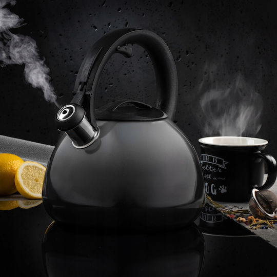 Kadax Βραστήρας Ανοξείδωτος Γκρι 2600ml