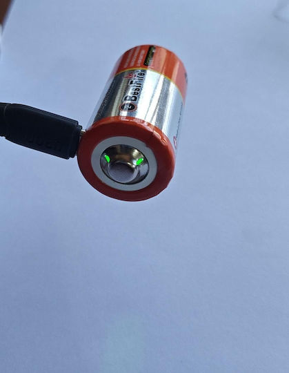 Επαναφορτιζόμενες Μπαταρίες D Li-ion 3500mAh 1.5V 2τμχ