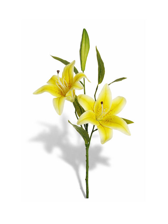 Tiger Lily Flower Yellow Petals 0x0x73cm Monochrome Evergreens