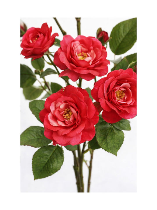 Dogwood Rose Pink 97cm 0x0x97cm Monochrome Evergreens
