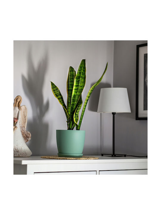 Kadax Γλάστρα Πλαστική Green με Πιάτο 12x11x10εκ.