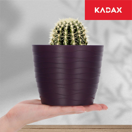 Kadax 