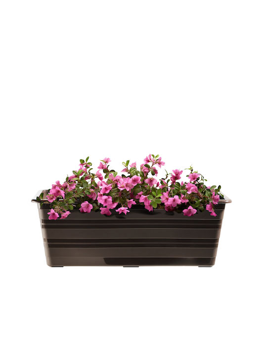 Kadax Set 4 Planter Box-uri Plastice Maro