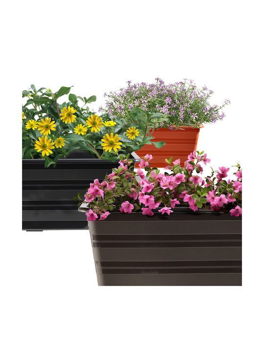 Kadax Set 4 Planter Box-uri Plastice Maro