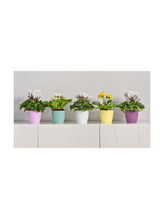 Kadax Kunststoff Blumentopf Gelb Matt mit Untersetzer 25x23cm