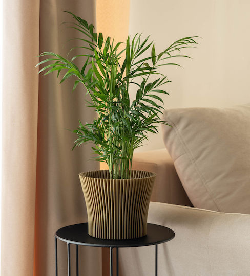 Kadax Plastic Gold Flower Pot