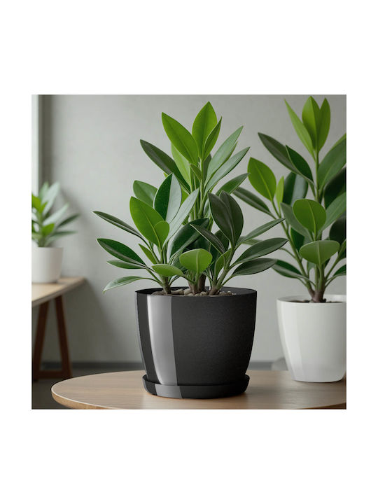 Kadax Set Of 3 Plastic Graphite Flower Pots With Saucer