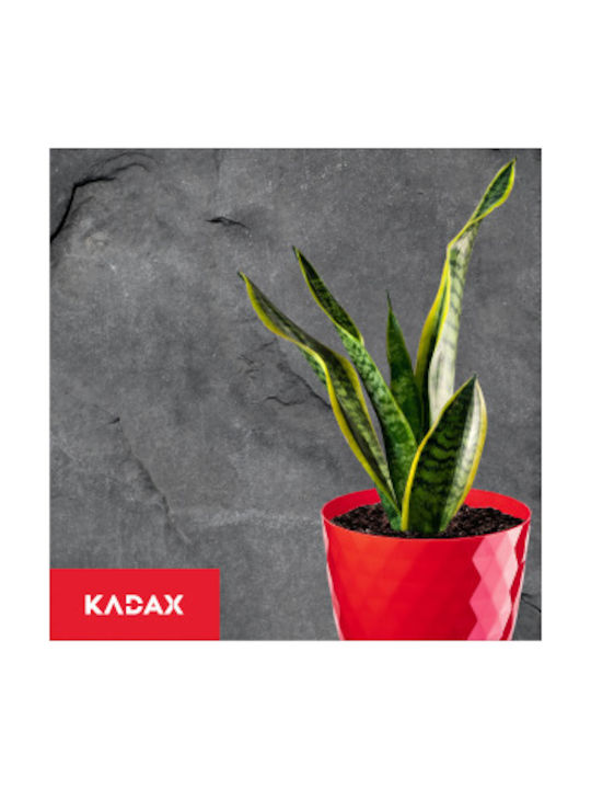 Kadax Комплект 3 Пластмасови Саксии За Цветя Червени С Подложка