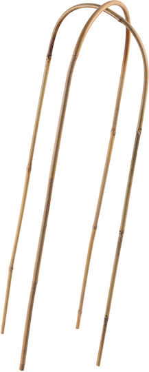 Bambus Pflanzenspieße 60 x 15 cm 1 Stück
