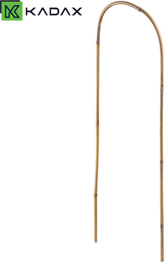 Bambus Pflanzenspieße 60 x 15 cm 1 Stück