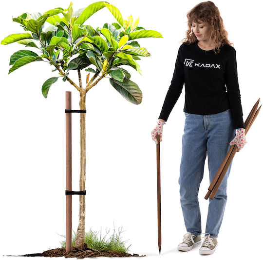 Wooden Stakes Impregnated 80 Cm Support Rod Stick 10 Pcs Ø 23mm