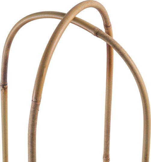 Bambus Ringstütze Für Pflanzen 75 X 15 Cm 1 Stück