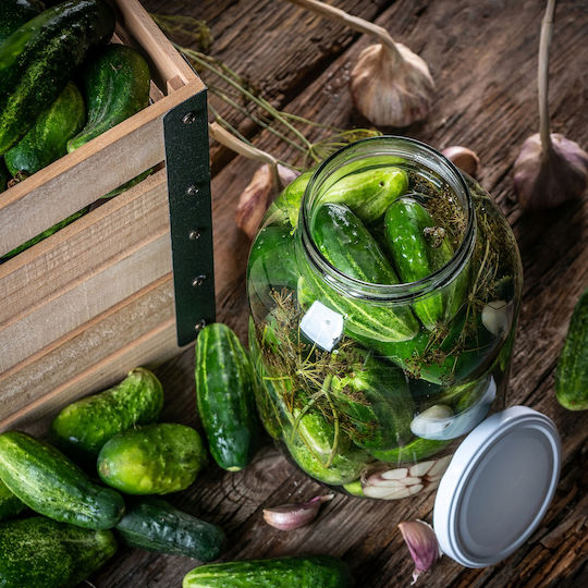 Kadax Glas Gefäß Preserves 4000ml (2Stück)