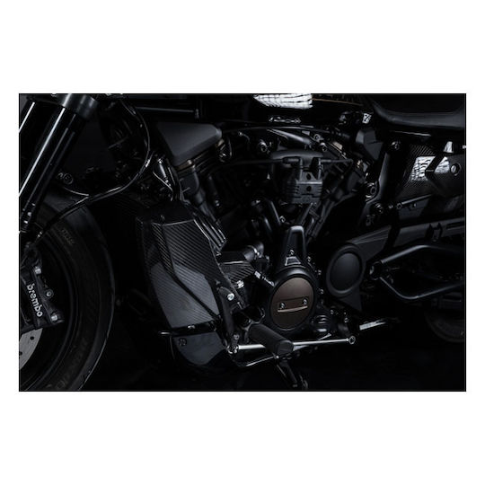Zard Kit Radiator Cover Side Panels Motorcycle Harley Davidson 21 26 Rh1250s Sportster S Carbon