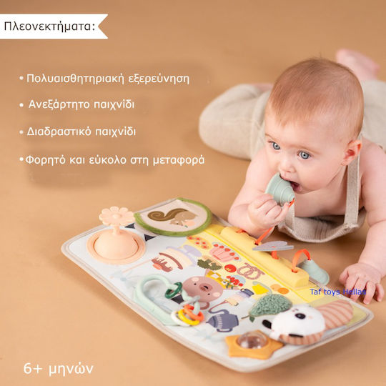 Taf Toys Μπάλα Peek από Σιλικόνη με Ήχους για 6+ Μηνών