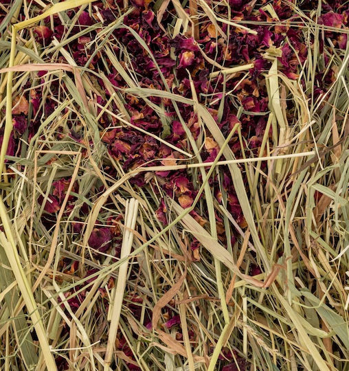 Vitapol Vita Kräuterheu Gras Rosenblätter 800g