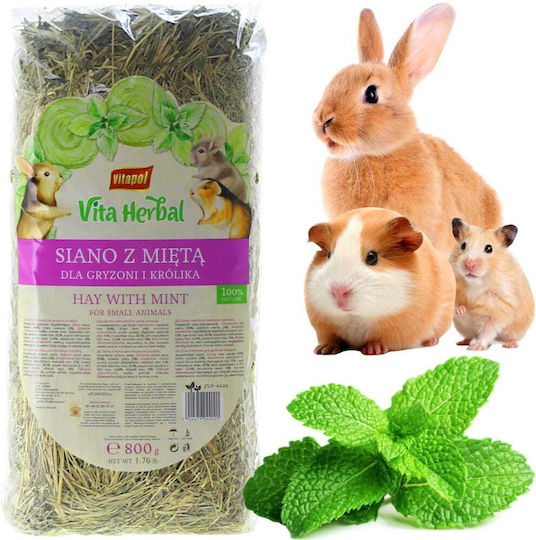 Vitapol Vita Kräuterheu Gras Minze 800g