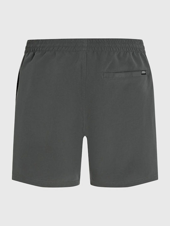 Cali 16 Men's Swimwear Shorts Gray