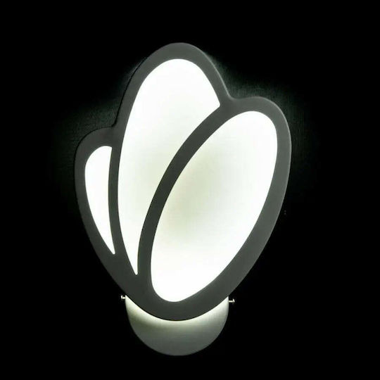Led Tulip Wall Light 16w White