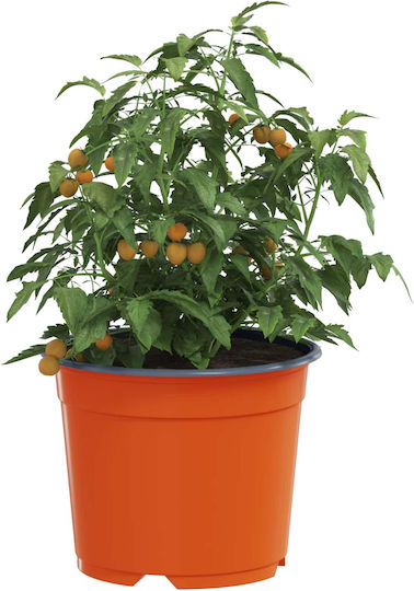 vidaXL Ceramic Flower Pot Orange 15x15x12.5cm