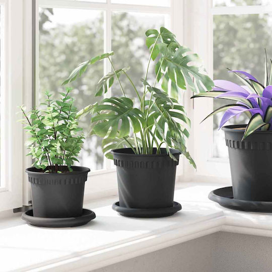 vidaXL Set of 6 Plastic Flower Pots Black 15x12cm