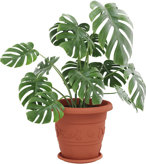 vidaXL Set of 6 Plastic Flower Pots Terracotta 39x32cm