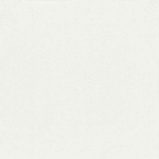 vidaXL Rectangular Shade Divider White 1x3x3m