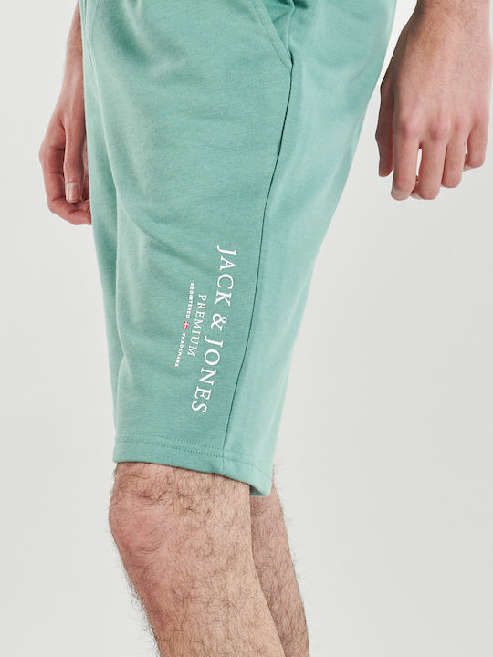 Sports Men's Bermuda Shorts Light Green