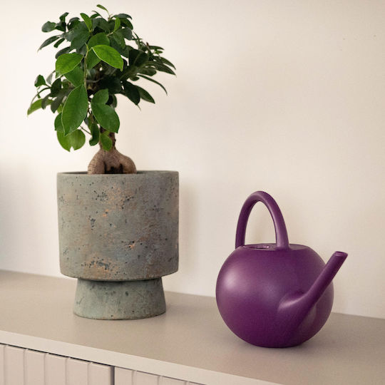 Home Garden Watering Can Watering Flowers Plants Small Plastic 1.2l