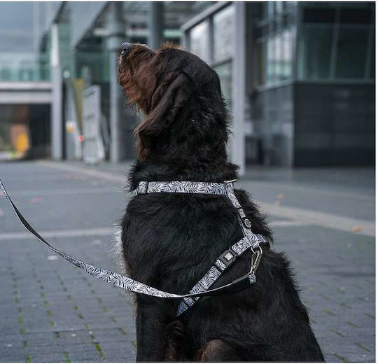 Max & Molly Lesură/Odihnă Pentru Câine Curea Albă