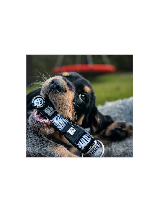 Max Molly Smart Id Dog Collar – Garden Xsmall 1.0cm X 22-35cm