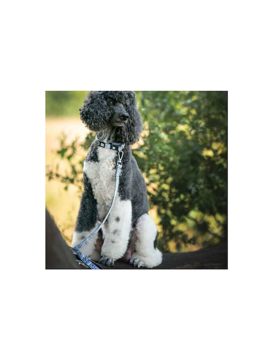 Max Molly Smart Id Dog Collar – Garden Xsmall 1.0cm X 22-35cm