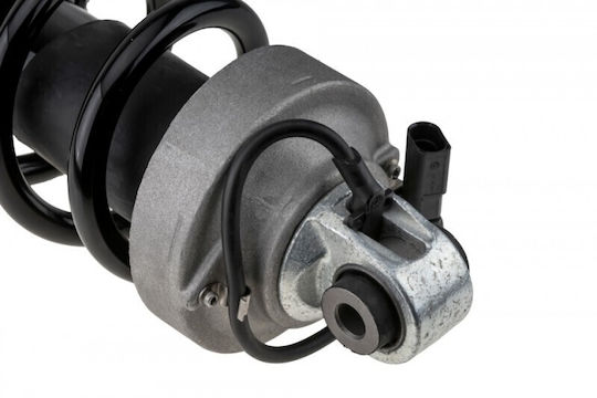 Амортисьор Audi R8 2007-2015 4.2l Купе Audi R8 2007-2015 5.2l Купе Audi R8 Spyder 2010-2015 4.2l Кабриолет