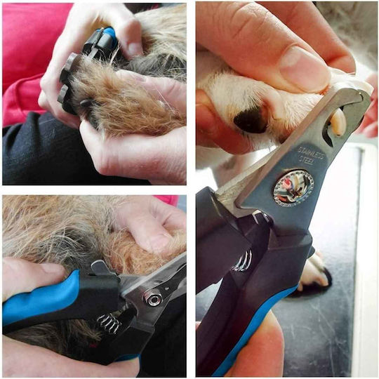 Pet Nail Scissors Blue Colors