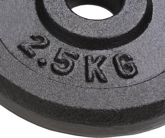 vidaXL Set Plăci Pentru Antrenamentul De Forță 28 x 2.5kg Cu Mânere