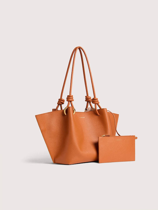 Coccinelle